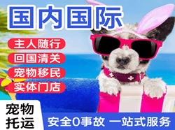 宜春明月山空运地址国际宠物托运 【国
